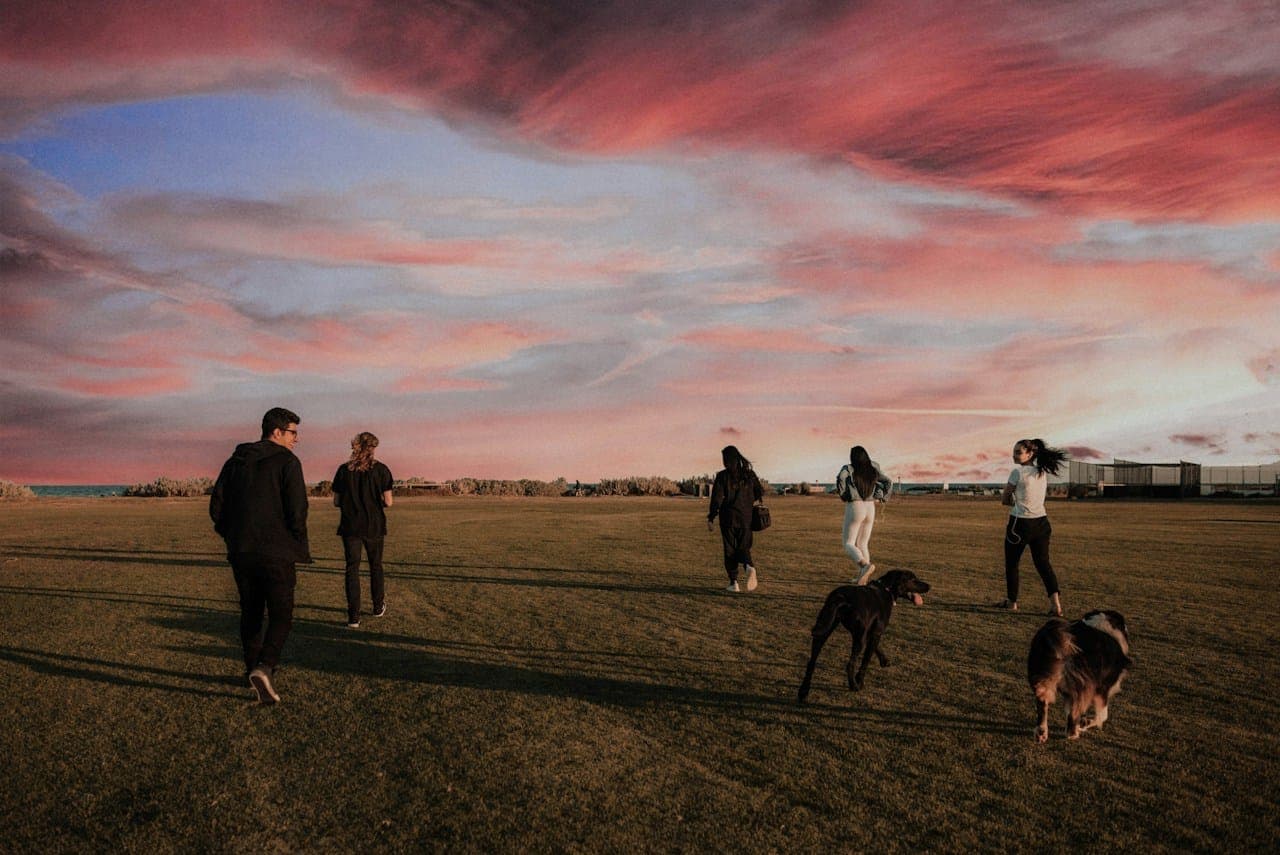 Personas y perros caminando por un campo al atardecer